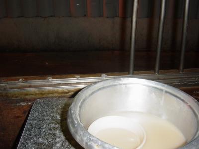 マッコリ in Korea