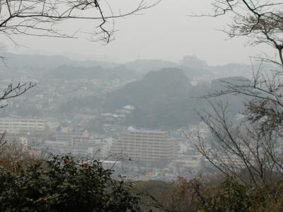 横須賀～衣笠山の自然