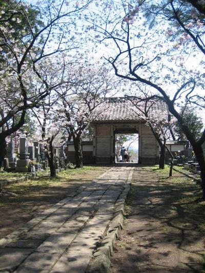 道南花見たび１日目−?北の小京都・・・松前寺町編