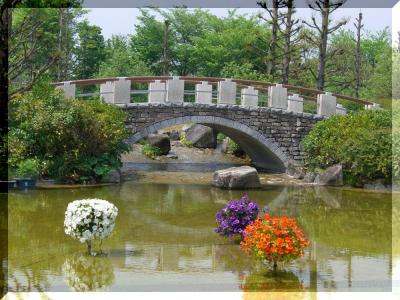 みずの森（草津市立水生植物公園） ～ 後編 ～