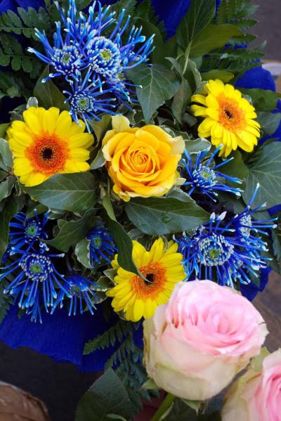 音楽とクリムト＆百水とホイリゲの旅  (2)