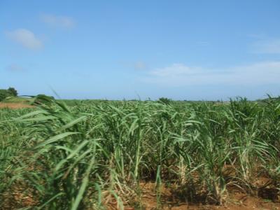 初めての宮古島