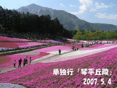 単独行「琴平丘陵」