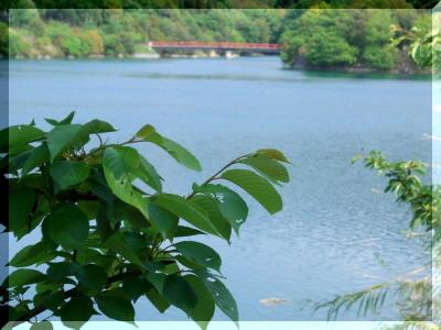 萩の丘公園　～ 後編 ～