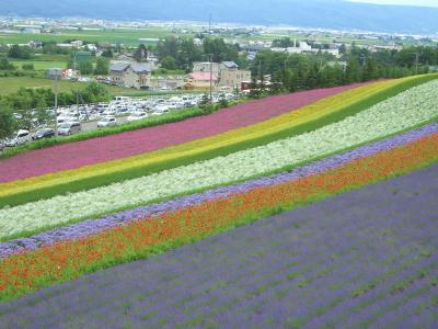 レンタカーで巡る旅  ｉｎ 北海道＠札幌後楽園ホテル　（2006年7月）　