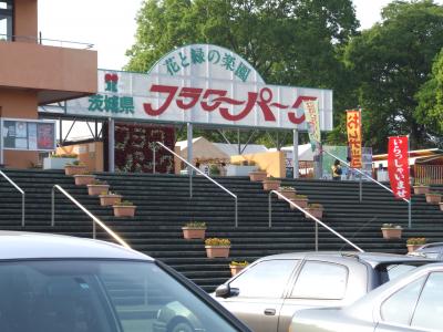 花と緑の楽園茨城県フラワーパークへ