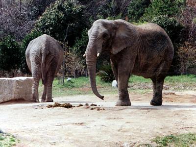 姫路セントラルパークで動物と戯れる