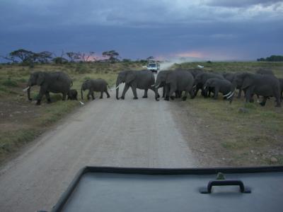 ケニア・アンボセリ サファリ旅行記（子連れ）