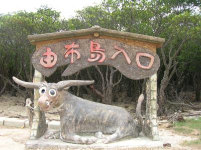 石垣・西表島旅行DAY2.5～西表・由布島・パイン館　ナイトツアー～