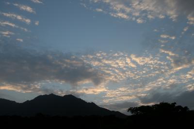 緑溢れる屋久島1