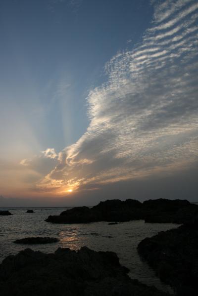 緑溢れる屋久島２