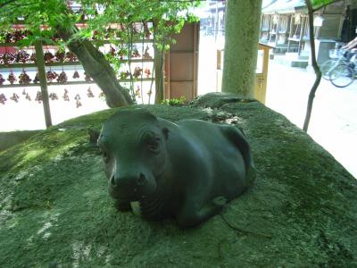 福岡・佐賀−大宰府編−