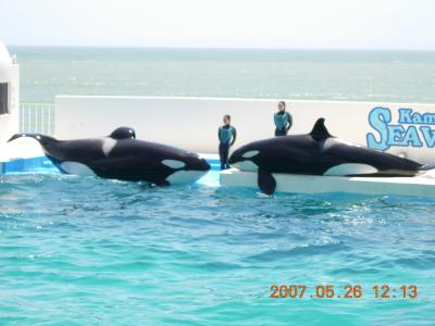 赤ちゃんと鴨川シーワールド♪