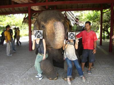 姉妹でタイ旅行 ?日目 ～象乗り体験編～