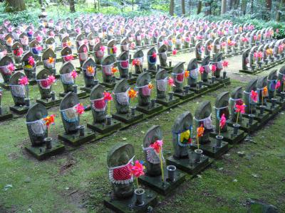湖国近江のグルメ旅　湖東三山編