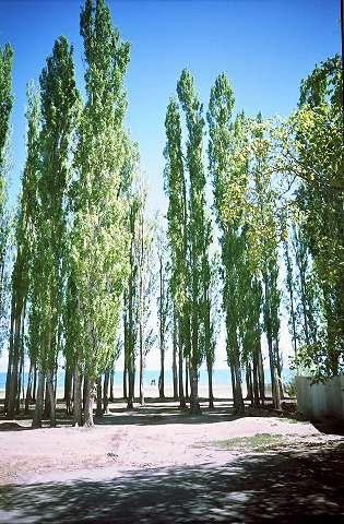 イシク・クル湖畔でのんびりお昼寝　　中央アジア～中国の旅④　キルギス編　前半