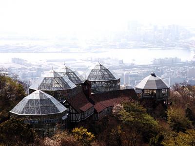 神戸お花満喫の旅−2日目　【布引ハーブ園編】