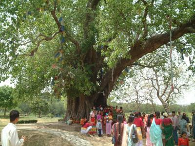 ネパール旅行記２