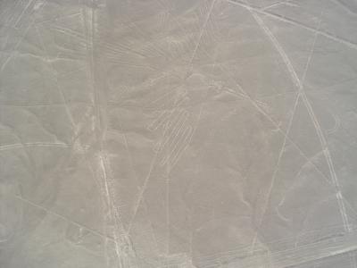 南米旅行～リマ偏～