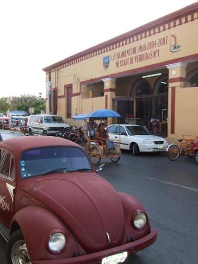 のんびりメリダ