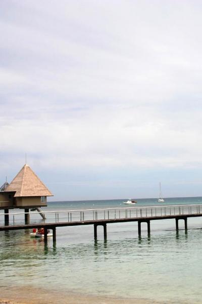 ニューカレドニア旅行  【メトル島編　vol.1】