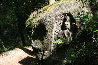 茨城県/北茨城(2007/4)