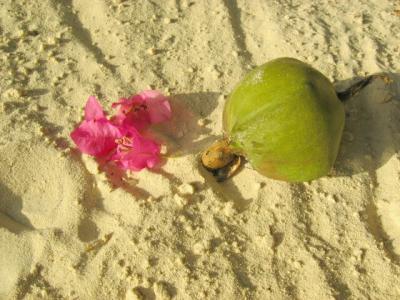 2007年 今年も満喫グアム♪