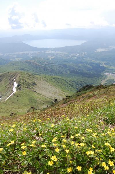 花咲く「秋田駒ヶ岳」ハイキング（１）