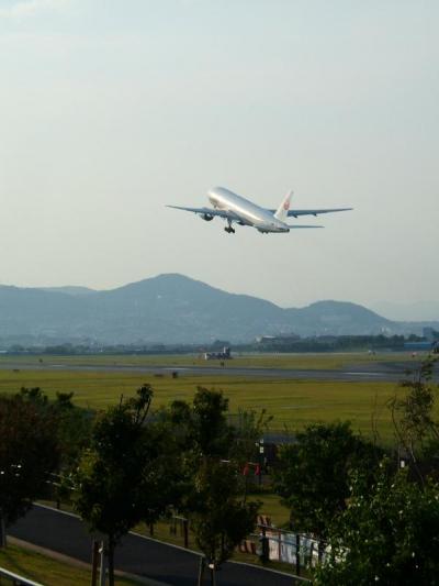 プチプチドライブ（ヒコーキを見にの巻）