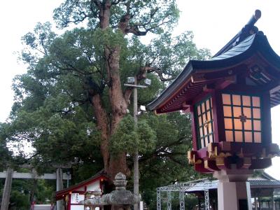 ひとり旅 ?22 北九州 900ｋｍぶらり旅?＜大宰府天満宮＞福岡県