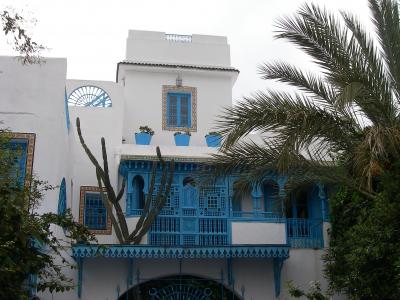 憧れのイスラムの国、初チュニジア上陸