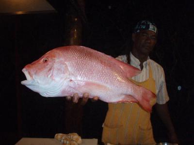 地球の島めぐり・44島目セイシェル諸島−プララン島　ビッグゲームフィッシング