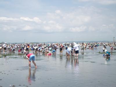 夏風を感じに潮干狩りへat房総半島！！