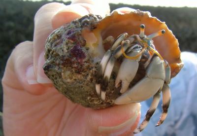 沖縄旅行記　岬編