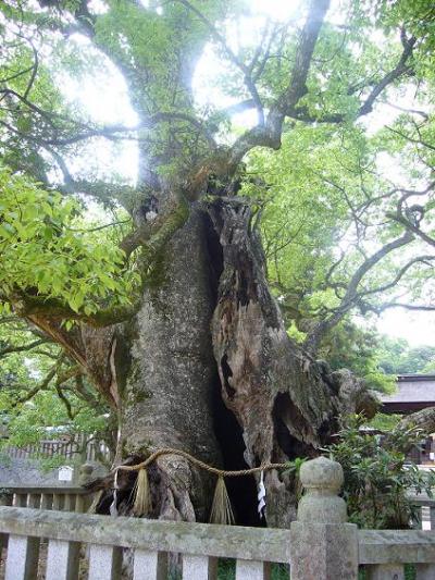 懐かしい町並みに会いに～2日目・神の島「大三島」