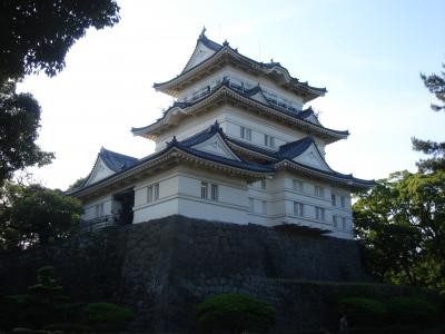 菖蒲と紫陽花と海！！