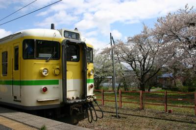 早春の越後路へ【１】～桜咲く弥彦を行く～