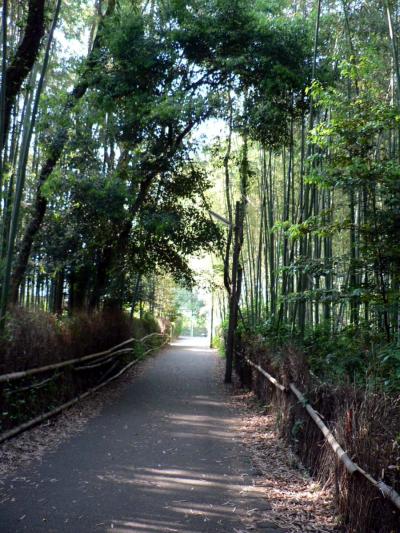 日本の旅　関西を歩く　京都の嵯峨野