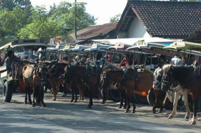 庶民の足　チドモ　　ロンボク島　