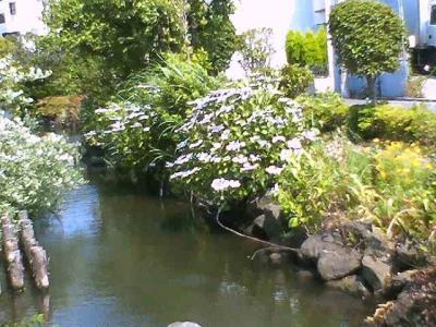 ぶらり都バス途中下車「一之江境川親水公園」