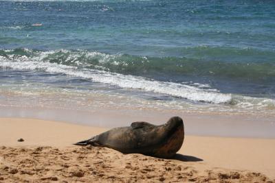 ハワイ上陸作戦 P05-02