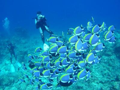 完結!初めてのモルディブ初めてのクルーズ♪ Vol.5