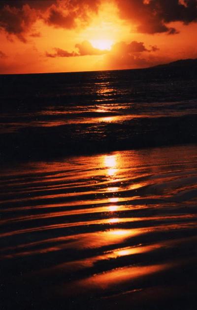セイシェル諸島　プララン島　写真館