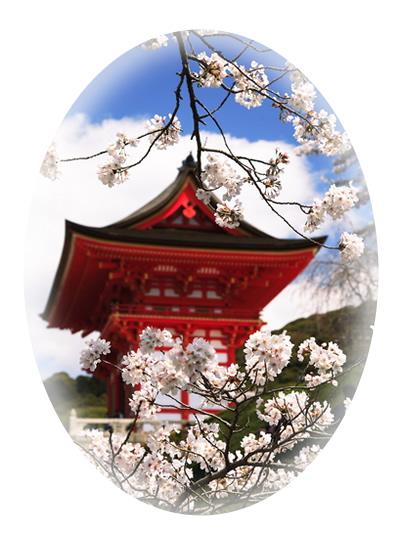 清水寺の桜