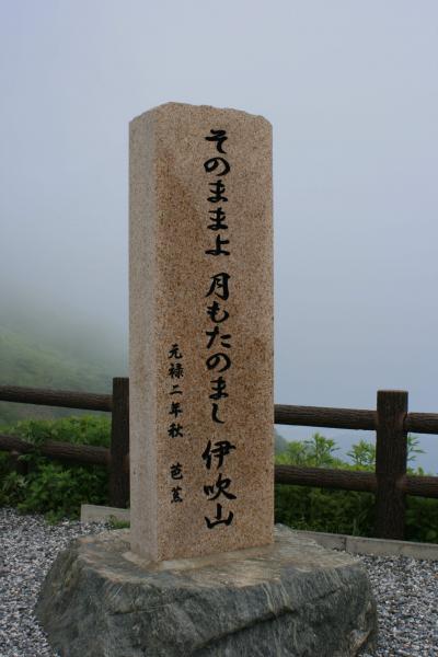 雲上のお花畑・グンナイフウロ咲き乱れて