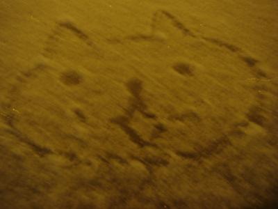 初めてのオーロラ