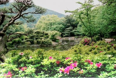 North part of Ritsurin Garden Park in early May, Takamatsu 高松・栗林公園～北側を中心に～