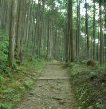 熊野古道を歩いてきました