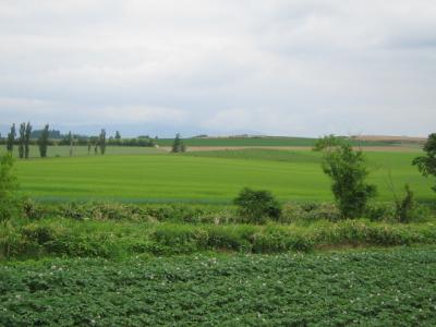 夏の前の北海道