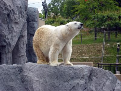 北海道3泊の旅?